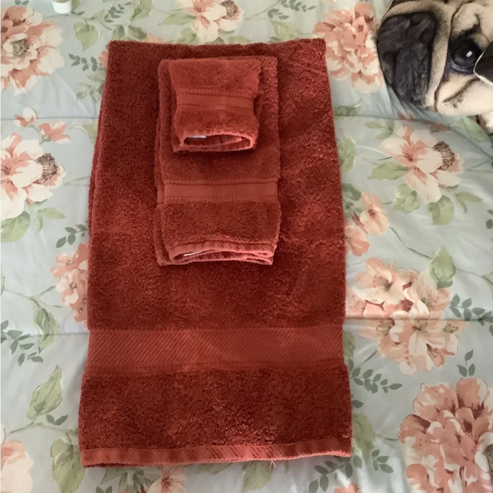 Towel set by Spring made 3 piece Rust Egyptian cotton. In excellent con…